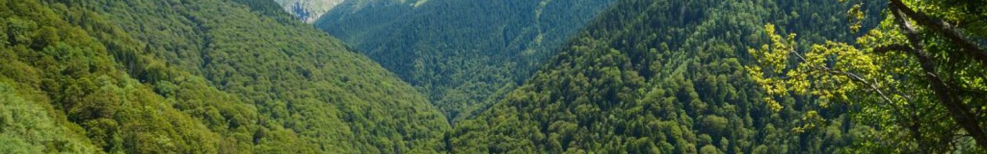 Usines Foresta-Habrita en Bourgogne — fabricant français d'abris de jardin